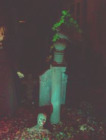 Nightmare on Williams St 2009