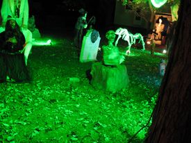 Nightmare on Williams St 2010