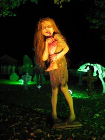 Nightmare on Williams St 2010