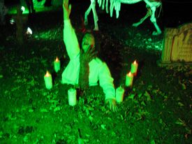 Nightmare on Williams St 2010