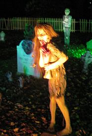 Nightmare on Williams St 2010