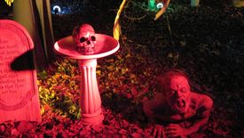 Nightmare on Williams St 2010