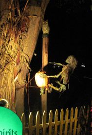 Nightmare on Williams St 2010