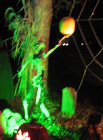 Nightmare on Williams St 2010