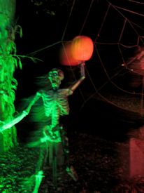 Nightmare on Williams St 2011