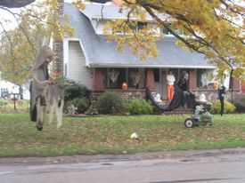 Halloween displays 2013