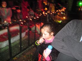 Halloween displays 2014