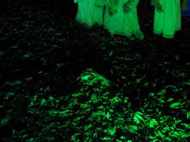 Haunt on Williams Street 2014