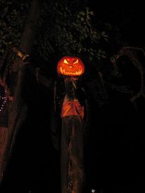 Haunt on Williams Street 2014
