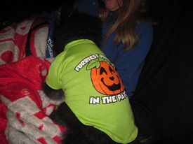 halloween 2017