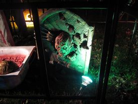 Halloween displays 2017