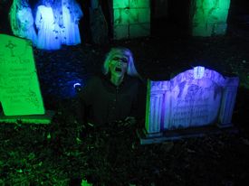 Haunt on Williams Street 2017