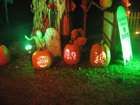 Haunt on Williams Street 2018