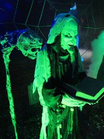 Haunt on Williams Street 2019