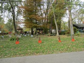 Halloween displays 2019