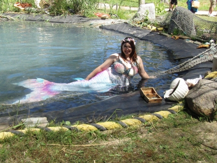 perf220104.jpg