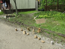 misc231201.jpg