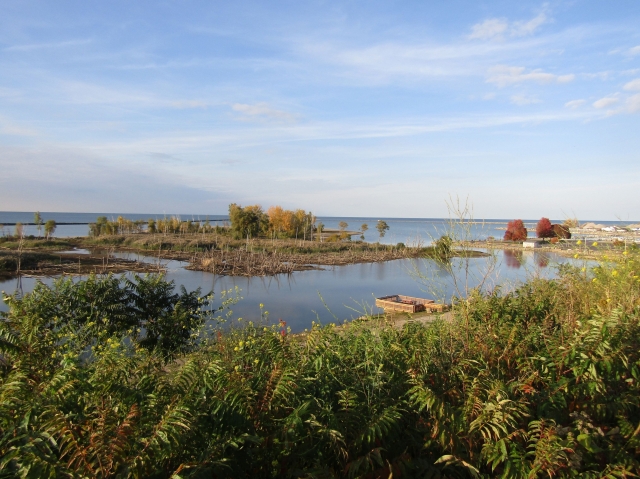 fall23004.jpg
