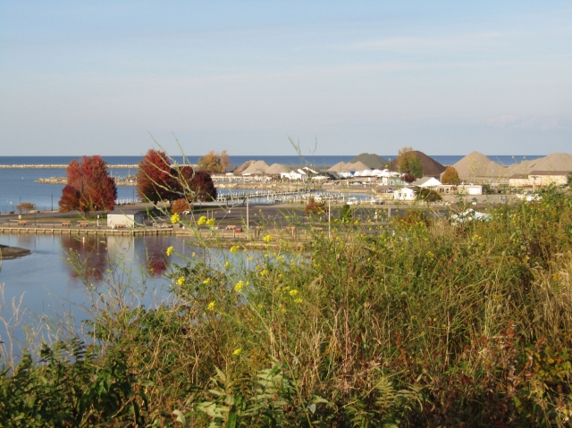 fall23005.jpg
