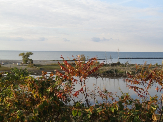 fall23007.jpg