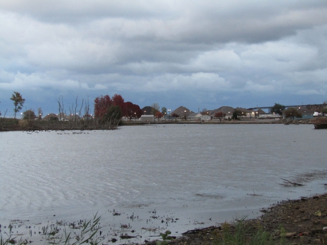 fall23010.jpg