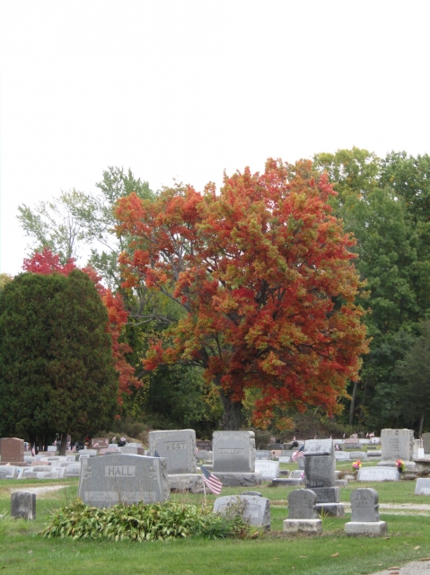 fall23011.jpg