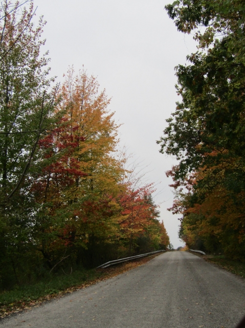 fall23013.jpg