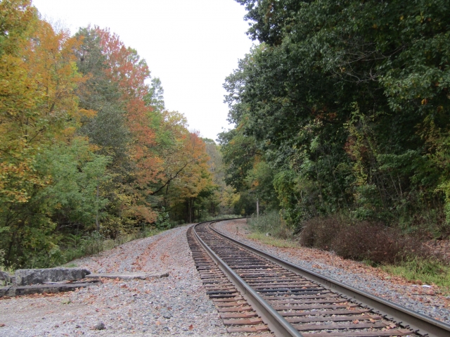 fall23015.jpg