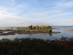 Filename=fall23002.jpg
Filesize=3206KiB
Dimensions=3000x2249
Date added=Oct 21, 2023 fall23002.jpg