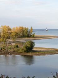 Filename=fall23003.jpg
Filesize=553KiB
Dimensions=1932x2576
Date added=Oct 21, 2023 fall23003.jpg
