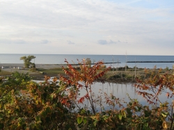 Filename=fall23007.jpg
Filesize=733KiB
Dimensions=2576x1932
Date added=Oct 21, 2023 fall23007.jpg