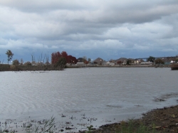 fall23010.jpg