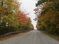 fall23014.jpg