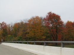 fall23016.jpg