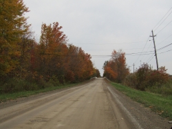 fall23017.jpg