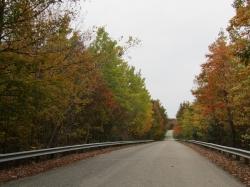 fall23019.jpg
