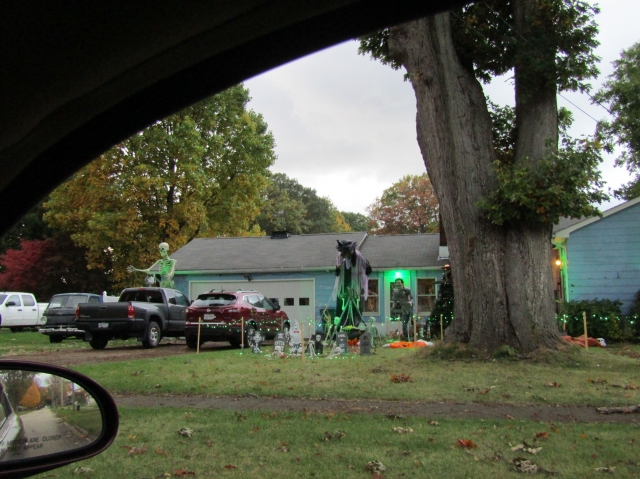 buffalo07.jpg
