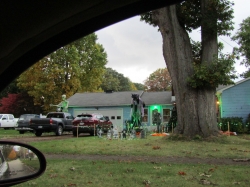 buffalo07.jpg
