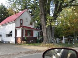dorman07.jpg