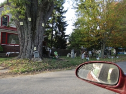 dorman08.jpg