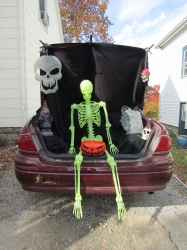 trunk.jpg