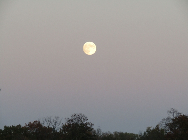 halmoon02.jpg