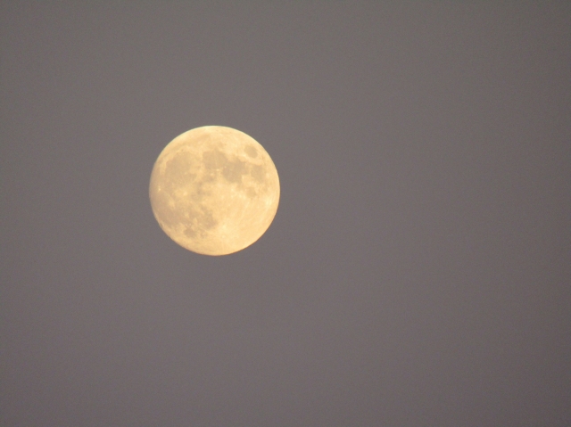 halmoon04.jpg