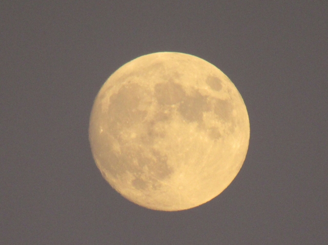 halmoon05.jpg
