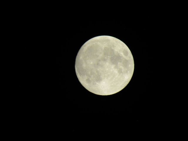 halmoon08.jpg