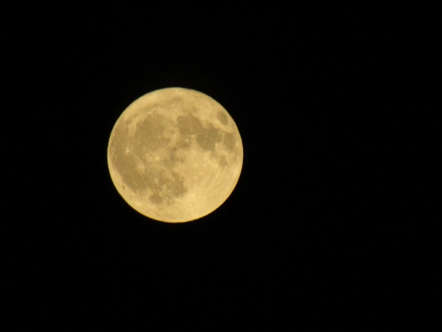 junemoon1.jpg