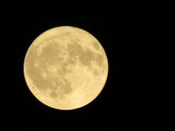 junemoon6.jpg