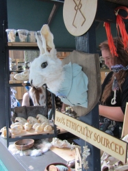 vendor241101.jpg