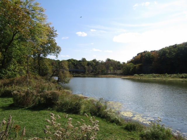 fall01.jpg