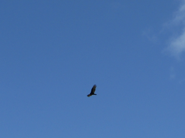 fall06.jpg